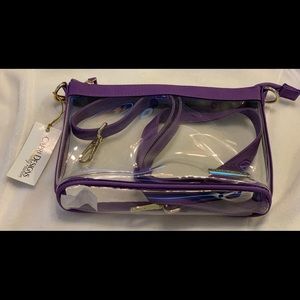 Small Purple/Clear Crossbody Bag
